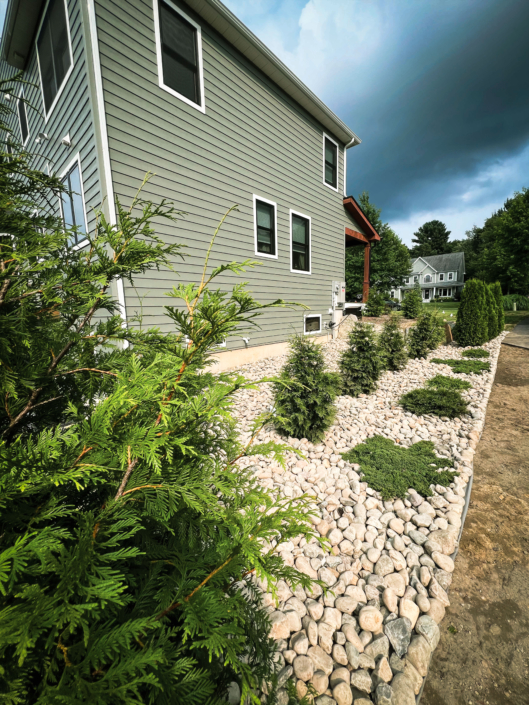 Row of arborvitae and juniper shrubs creating a natural border along a residential driveway.